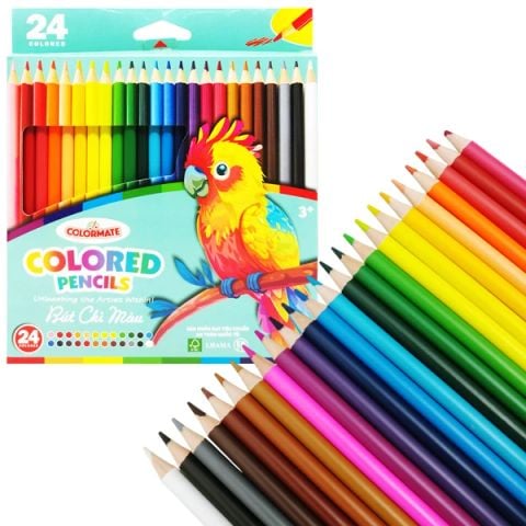 COLORMATE - HỘP GIẤY 24 CÂY CHÌ THÂN MÀU  - (BM-0170)