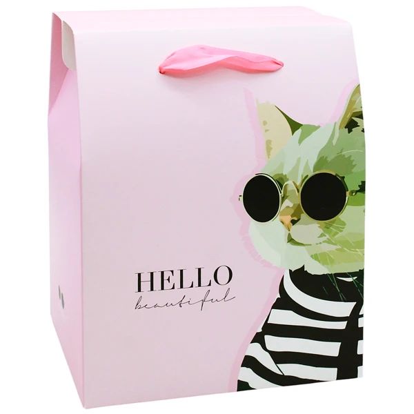 TÚI HỘP NHẬT SỐ 5 THN5-ORI (0003-LL)