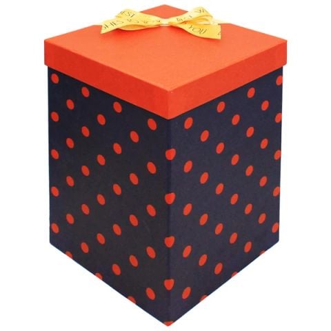 HỘP QUÀ VUÔNG TRỤ 25 CAO 35 (0003-LL)