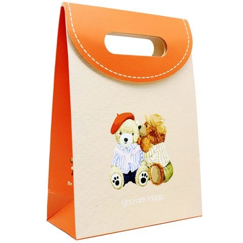 TÚI NẮP SỐ 1 (0003-LL)