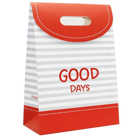 TÚI NẮP SỐ 2 (0003-LL)