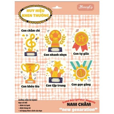 SET 6 HUY HIỆU CÓ NAM CHÂM (378-B.ANGLE)