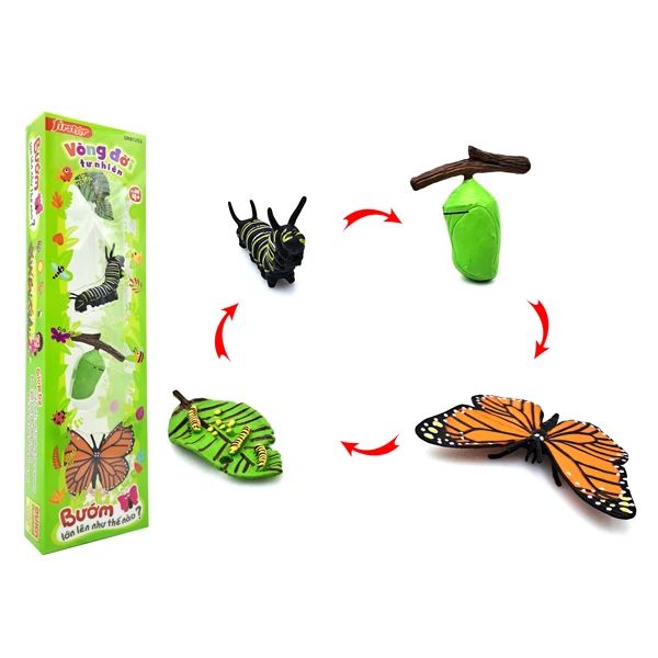 VÒNG ĐỜI TỰ NHIÊN BƯỚM LỚN LÊN NHƯ THẾ NÀO DK81253 (DUKA)