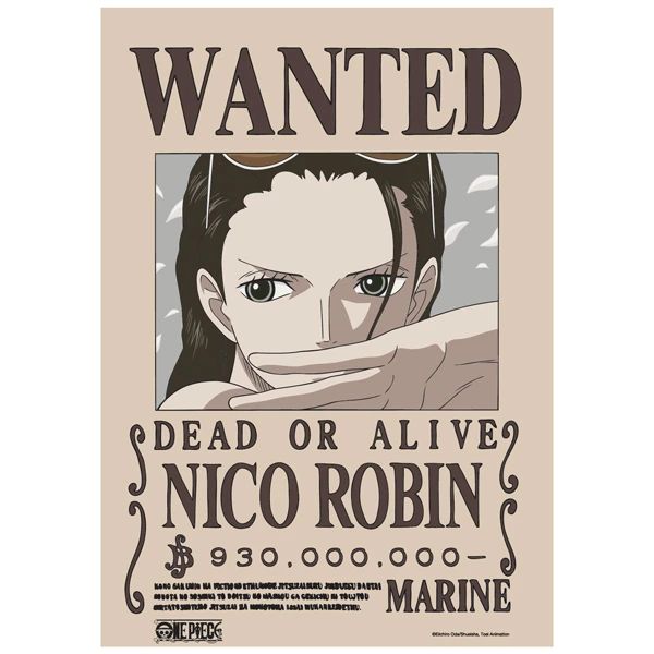 ONE PIECE POSTER V2 LỆNH TRUY NÃ ROBIN (TEENBOX)