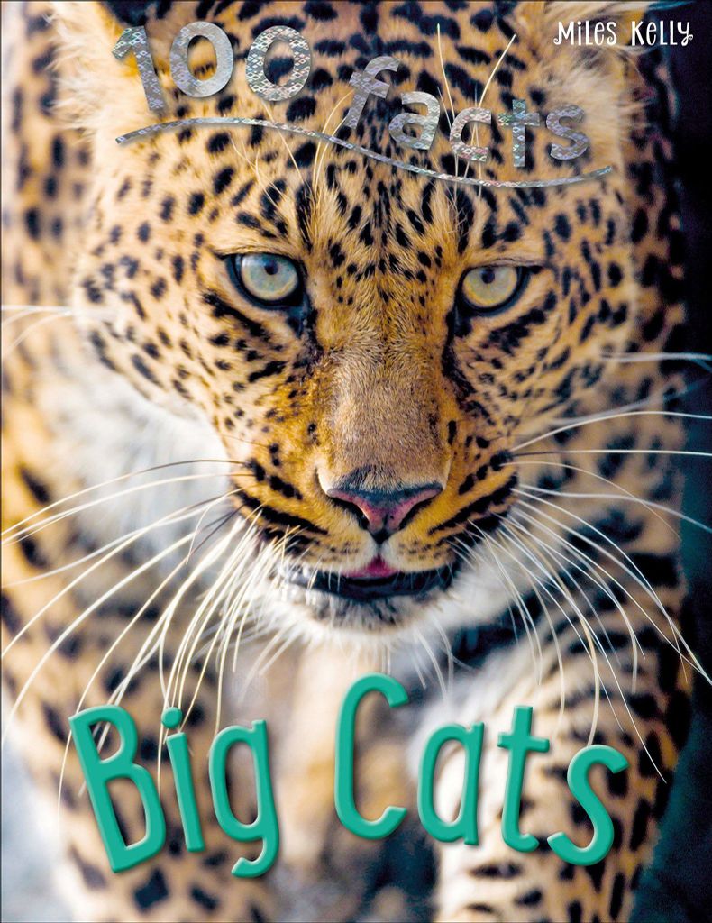 100 Facts Big Cats