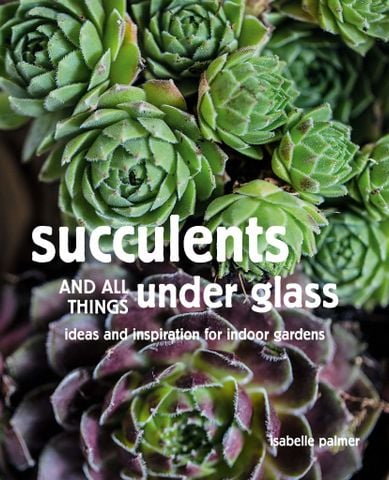 Succulents And All Things Under Glass : Ideas And Inspiration For Indoor Gardens