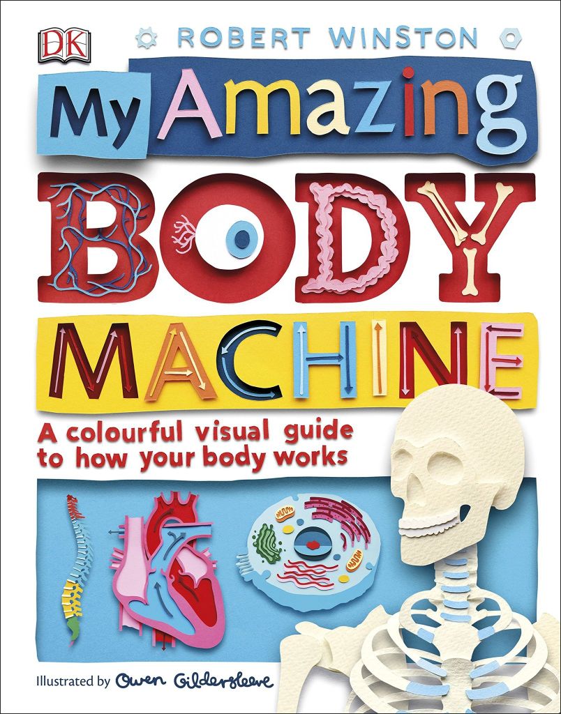 My Amazing Body Machine: A Colourful Visual Guide To How Your Body Works