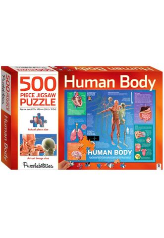 Human Body 500-piece Jigsaw Puzzle