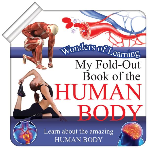 WONDERS OF LEARNING: MY FOLD-OUT BOOK OF HUMAN BODY_NPP 1217