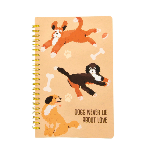 Sổ Lò Xo Ample Hình-PR100-A6