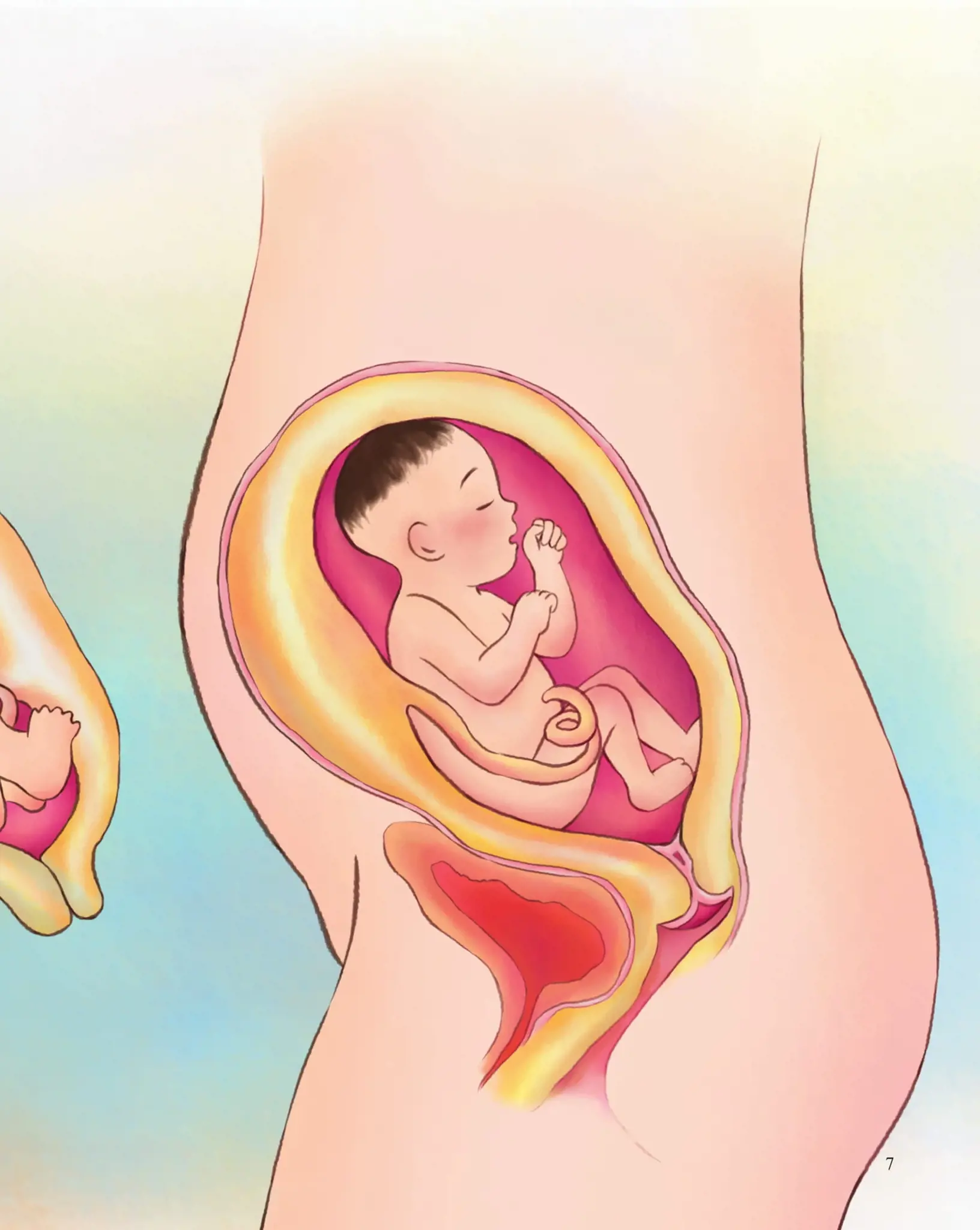 GIÁO DỤC GIỚI TÍNH VÀ NHÂN CÁCH DÀNH CHO BÉ GÁI-TỚ BIẾT QUÝ TRỌNG CƠ THỂ MÌNH