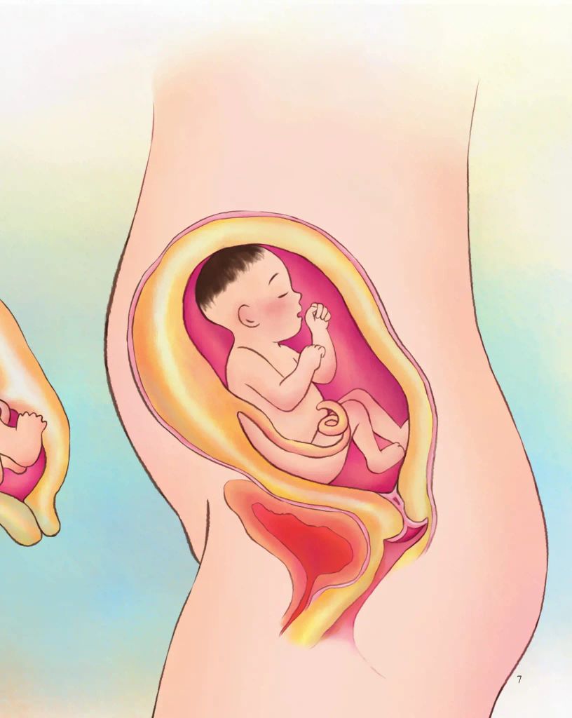 GIÁO DỤC GIỚI TÍNH VÀ NHÂN CÁCH DÀNH CHO BÉ GÁI-TỚ BIẾT QUÝ TRỌNG CƠ THỂ MÌNH