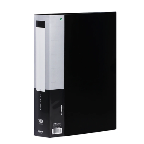 Bìa Hồ Sơ 100 Lá 2110 (5208NQ)