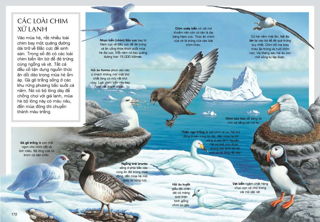 Tủ Sách Tri Thức Bách Khoa Bằng Hình - Thế Giới Động Vật