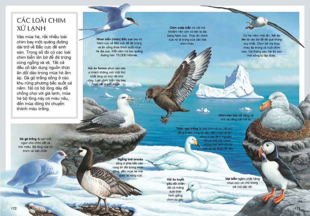 Tủ Sách Tri Thức Bách Khoa Bằng Hình - Thế Giới Động Vật