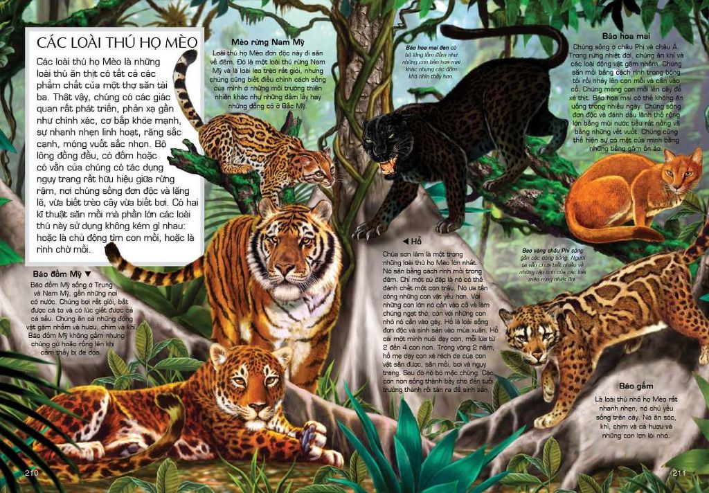 Tủ Sách Tri Thức Bách Khoa Bằng Hình - Thế Giới Động Vật