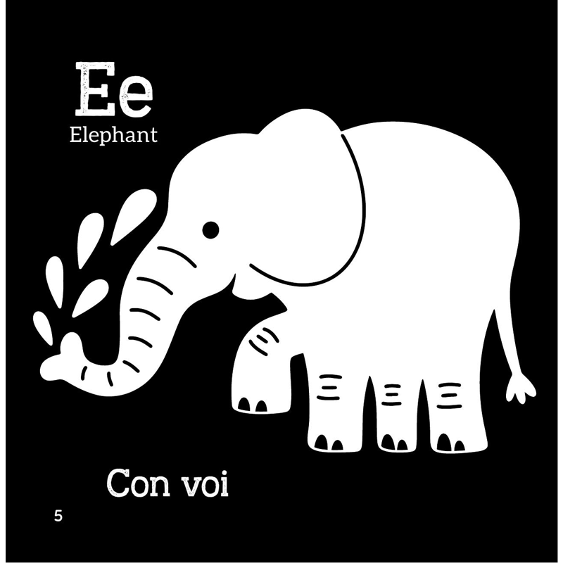 Sách Kích Thích Thị Giác - Em Bé Thấy Gì? - Chữ Cái Tiếng Anh