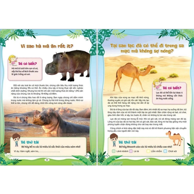 10 Vạn Câu Hỏi Vì Sao-Cùng Trẻ Khám Phá-Thế Giới Xung Quanh