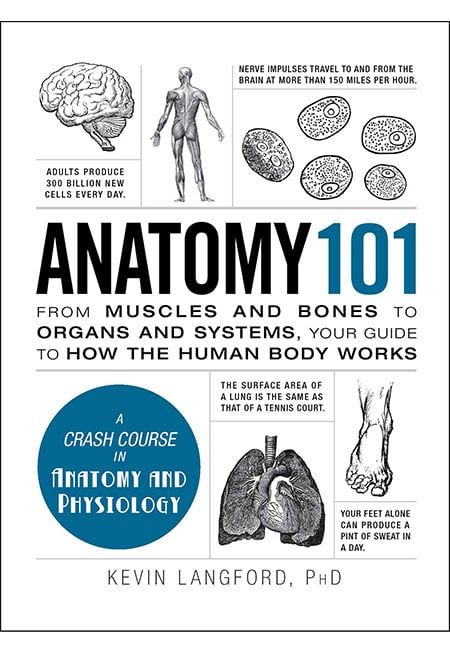 Anatomy 101