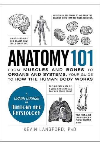 Anatomy 101