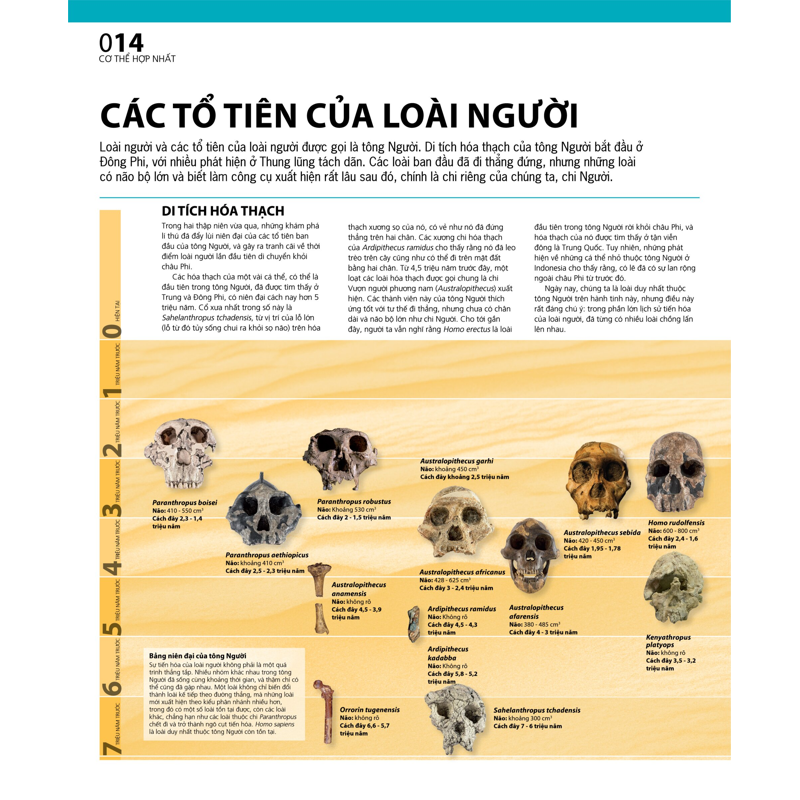 Atlas Giải Phẫu Cơ Thể Người ( TB2026)