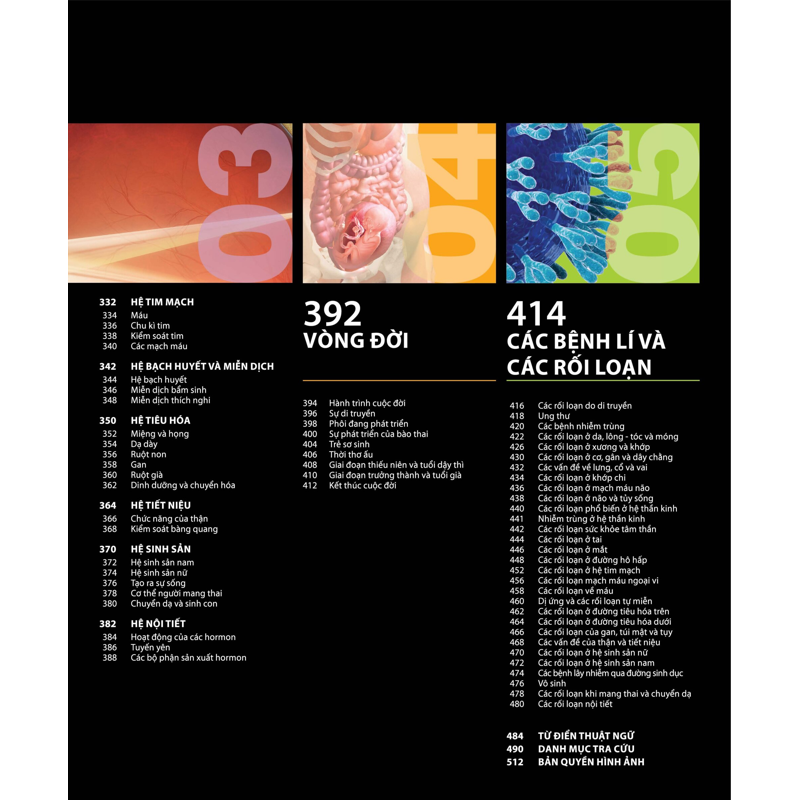 Atlas Giải Phẫu Cơ Thể Người ( TB2026)