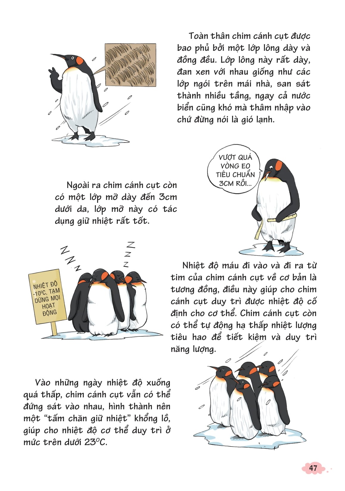 10 VẠN CÂU HỎI VÌ SAO-KHOA HỌC QUANH TA 2