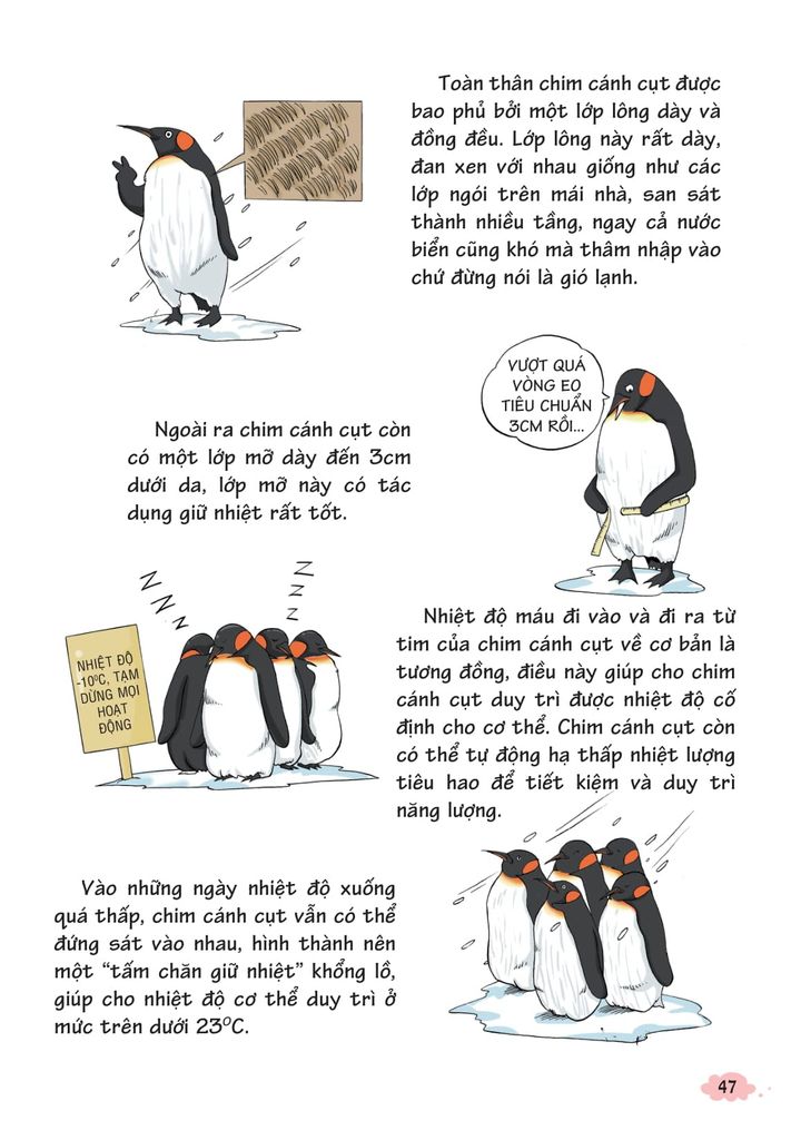 10 VẠN CÂU HỎI VÌ SAO-KHOA HỌC QUANH TA 2