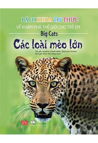 Bách Khoa Tri Thức Về Khám Phá Thế Giới Cho Trẻ Em - Các Loài Mèo Lớn (Tái bản năm 2018)
