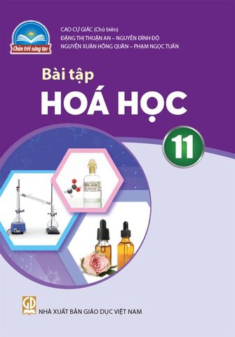 Sách Giáo Khoa Bài Tập Hóa Học Lớp 11 - Bộ Chân Trời Sáng Tạo