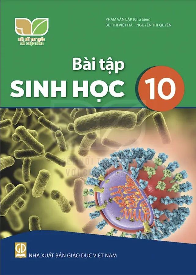 Sách Giáo Khoa Bài Tập Sinh Học Lớp 10 - Bộ Kết Nối Tri Thức Với Cuộc Sống