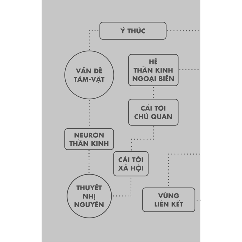 Bản Đồ Não Bộ