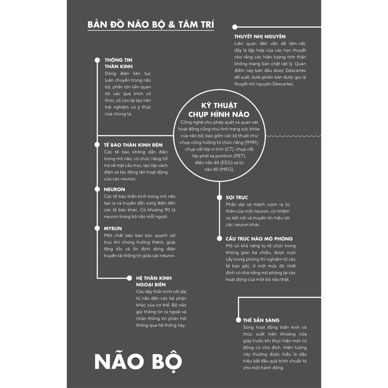 Bản Đồ Não Bộ