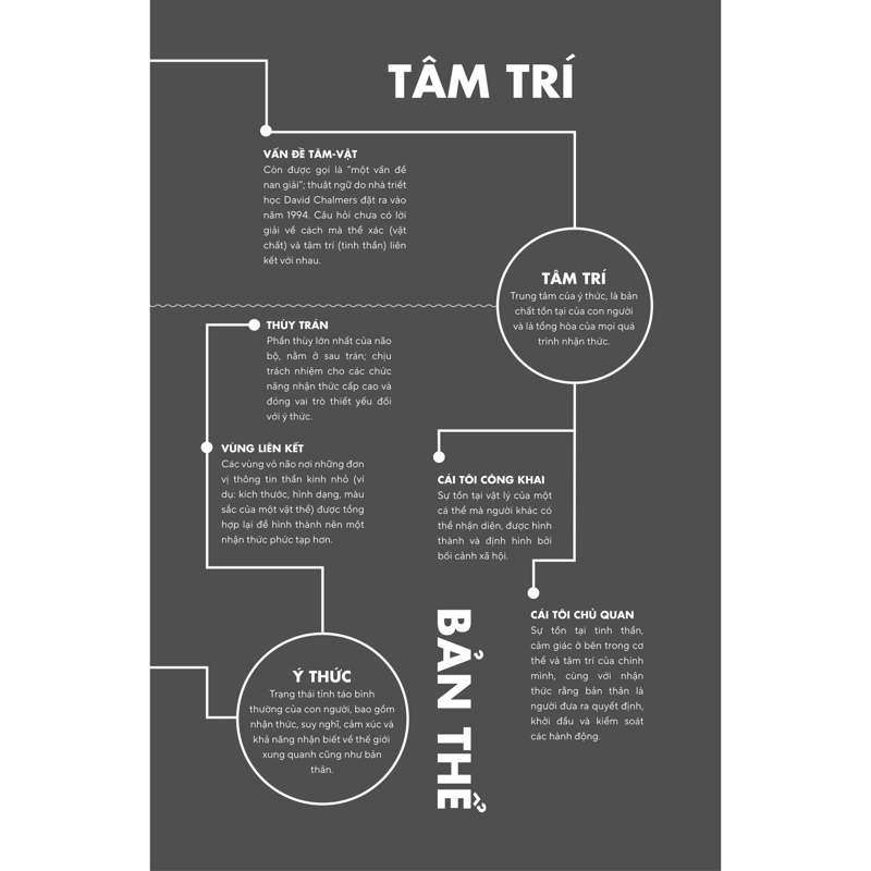 Bản Đồ Não Bộ