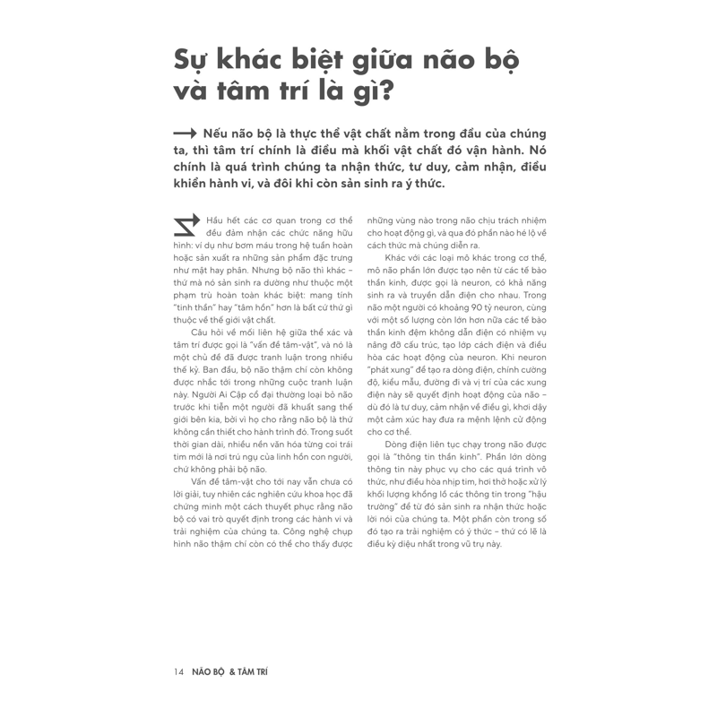 Bản Đồ Não Bộ