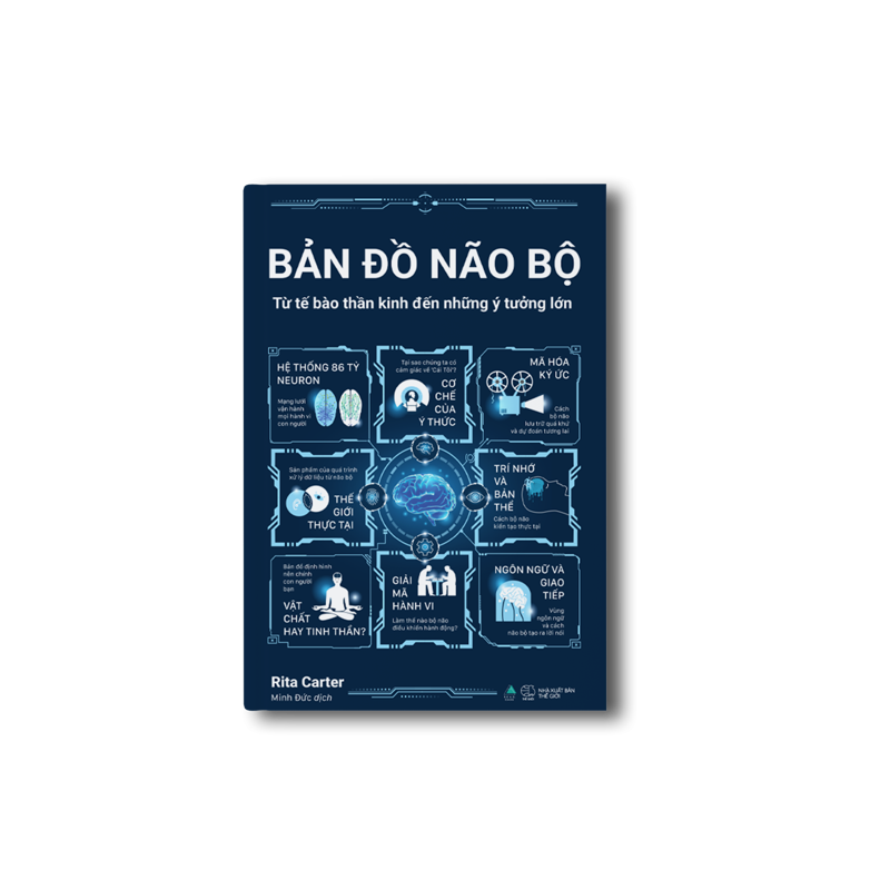 Bản Đồ Não Bộ