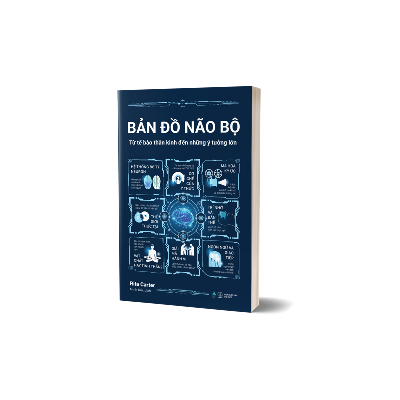 Bản Đồ Não Bộ