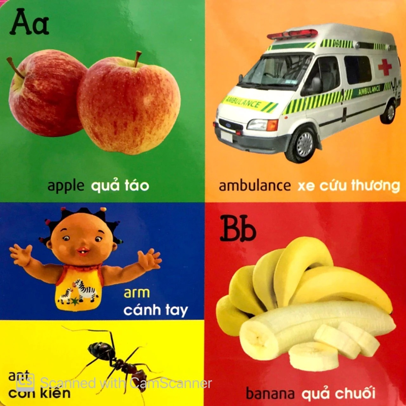 101 First Words - Alphabet - 101 Từ Đầu Tiên