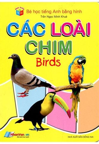 Bé Học Tiếng Anh Bằng Hình - Các Loài Chim