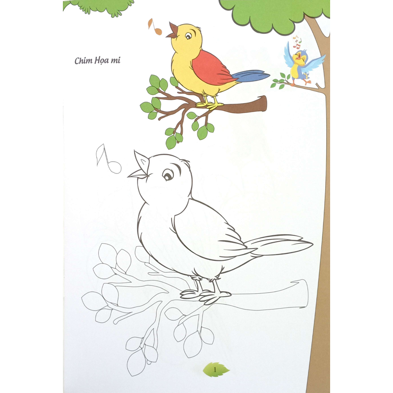 Bé Tập Tô Màu - Các Loài Chim
