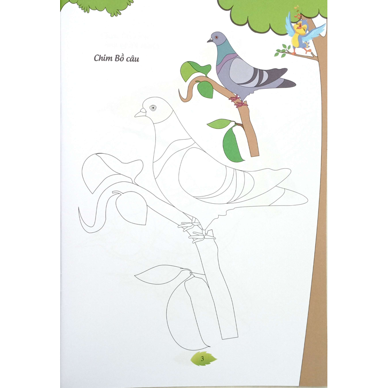 Bé Tập Tô Màu - Các Loài Chim