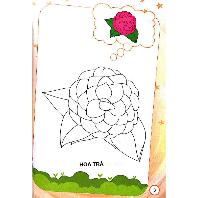 Bé Tập Tô Màu - Hoa