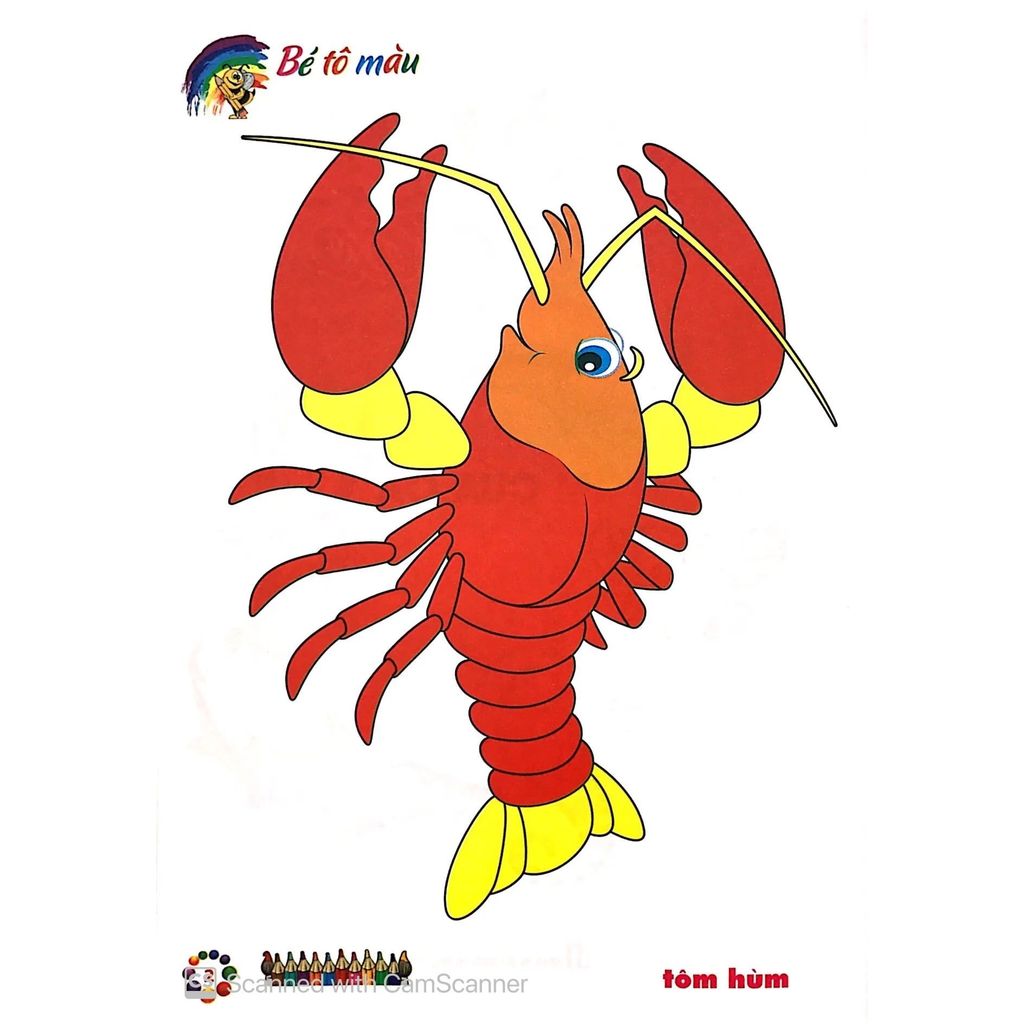Bé Tô Màu Mẫu Giáo - Tôm Cua Cá