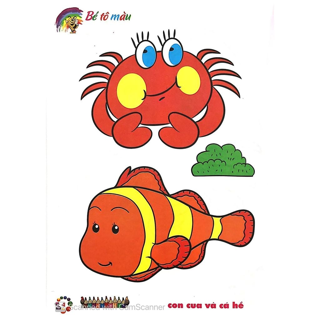 Bé Tô Màu Mẫu Giáo - Tôm Cua Cá