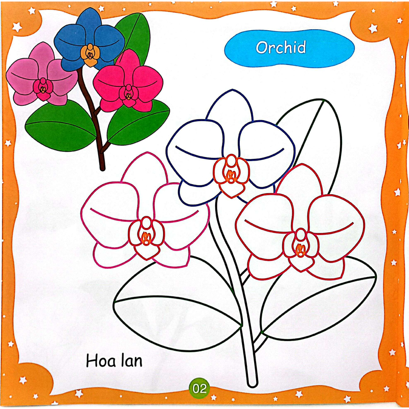 Bé Tô Màu Sáng Tạo - Các Loại Hoa
