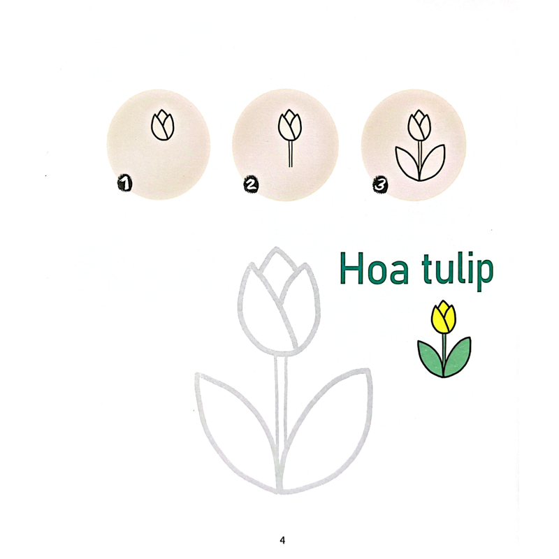 Bé Vẽ Cả Thế Giới-Thực Vật