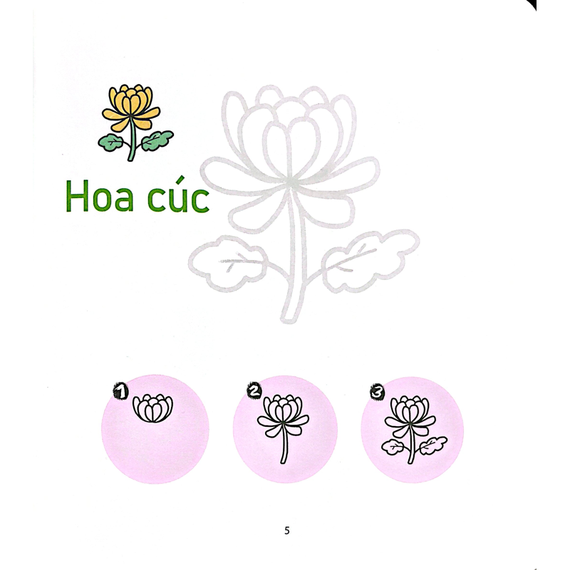 Bé Vẽ Cả Thế Giới-Thực Vật