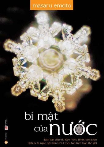 Bí Mật Của Nước (Tái bản năm 2024)