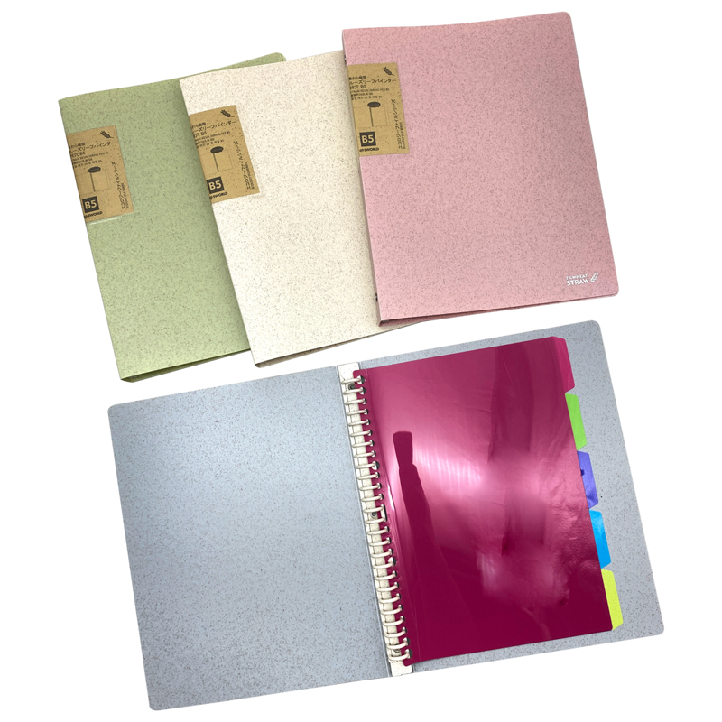 Sworld Bìa Sổ Còng Eco, Binder PP Size B5 26 Lỗ CF1216 (Giao mẫu ngẫu nhiên)