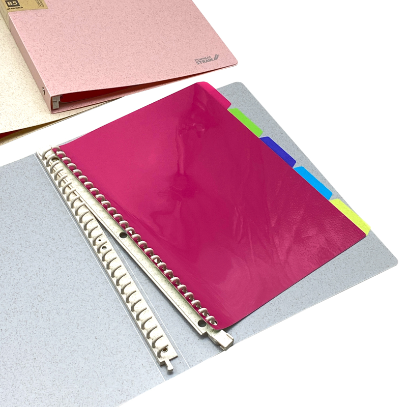 Sworld Bìa Sổ Còng Eco, Binder PP Size B5 26 Lỗ CF1216 (Giao mẫu ngẫu nhiên)